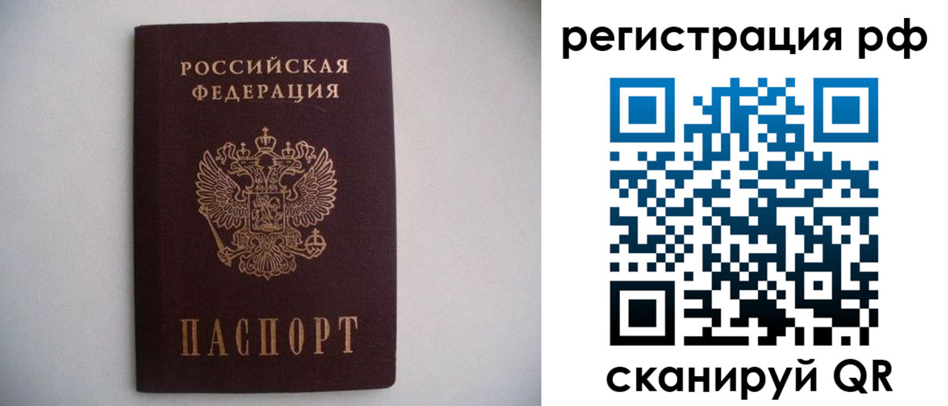 прописка в квартире в Курской области